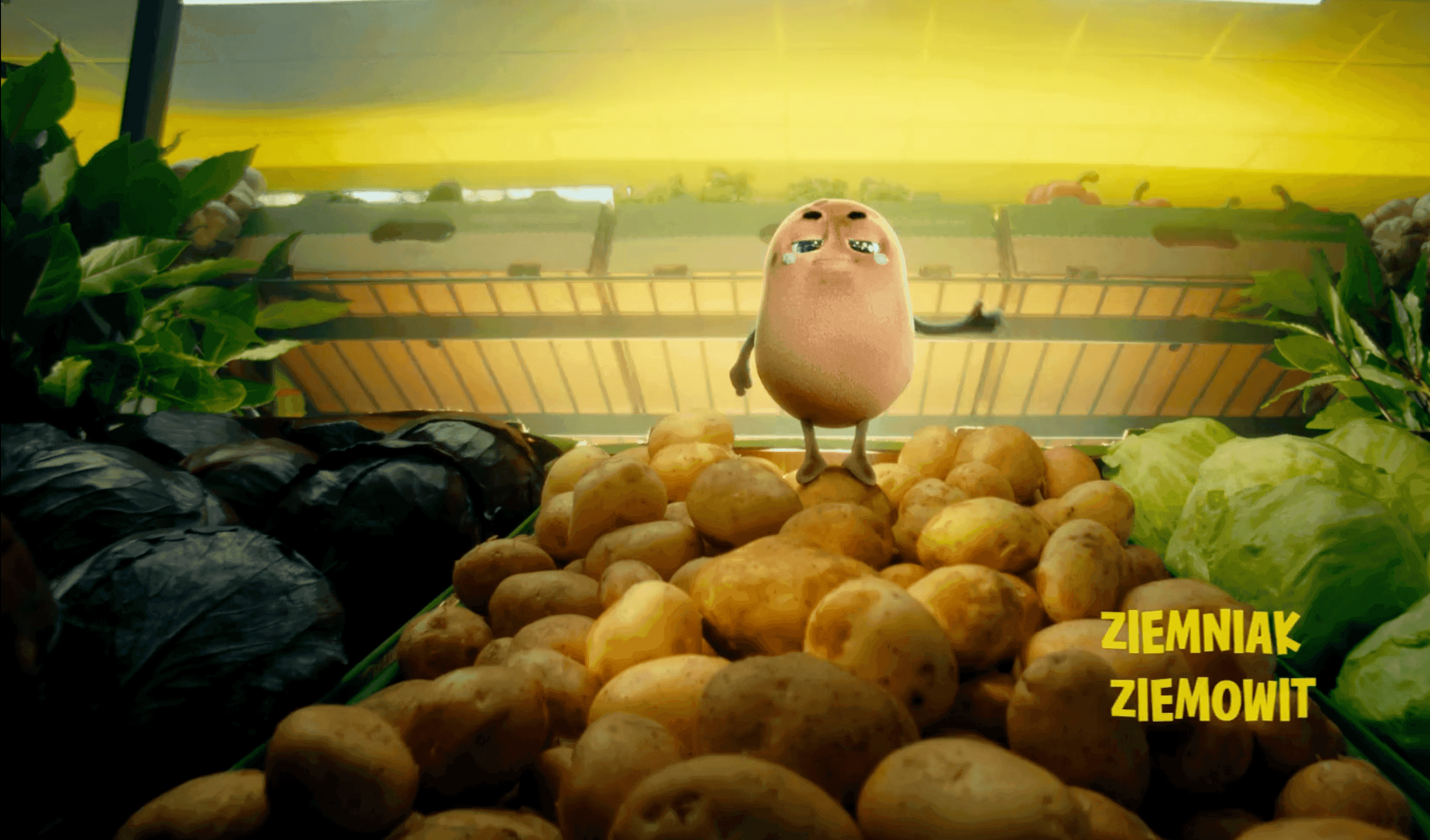 BIEDRONKA X GANG PRODUKCIAKÓW